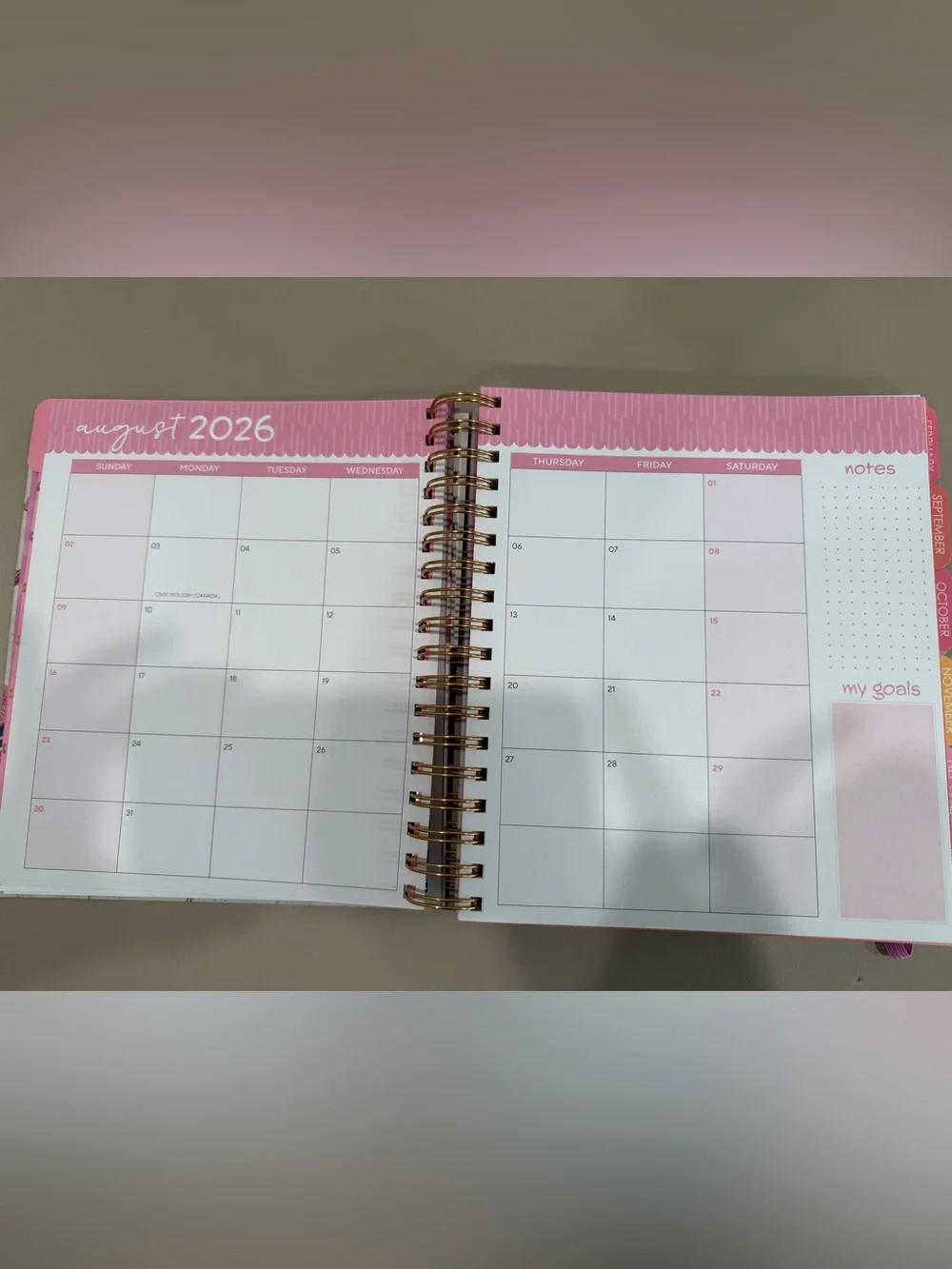 17 month, Aug 2026 - Dec 2027 Pink Western Weekly Planner with gold stickers